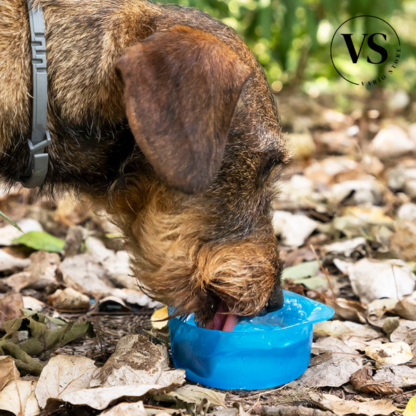 BOTELLA PARA MASCOTA AGUA/COMIDA